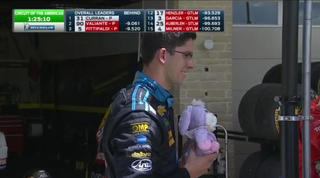 Illustration for article titled Jalopnik's Own Fluffy Bunny Photobombs TV Broadcast With Jordan Taylor
